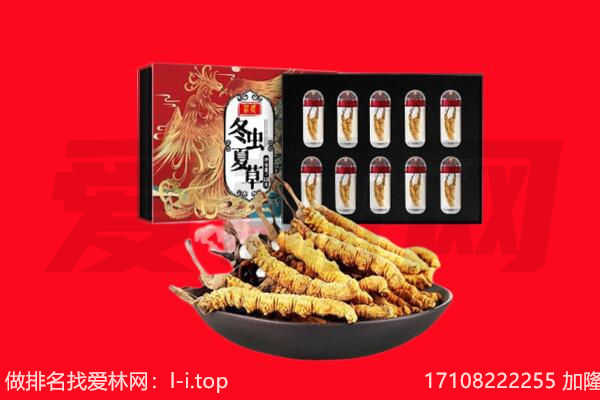 邢台清河县回收虫草.jpg